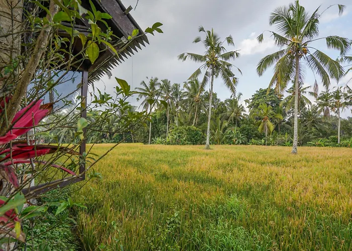 The Lavana Dzawani Ubud ベッド・アンド・ブレックファスト