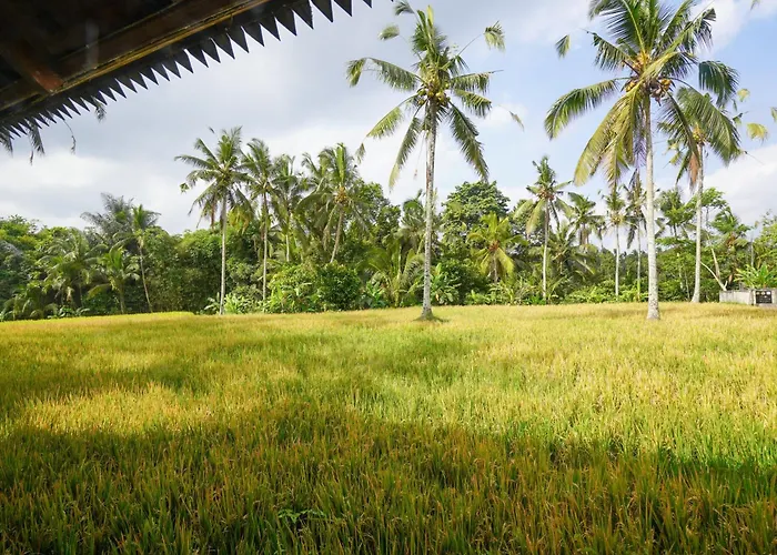 The Lavana Dzawani Ubud Oda ve Kahvaltı 4*